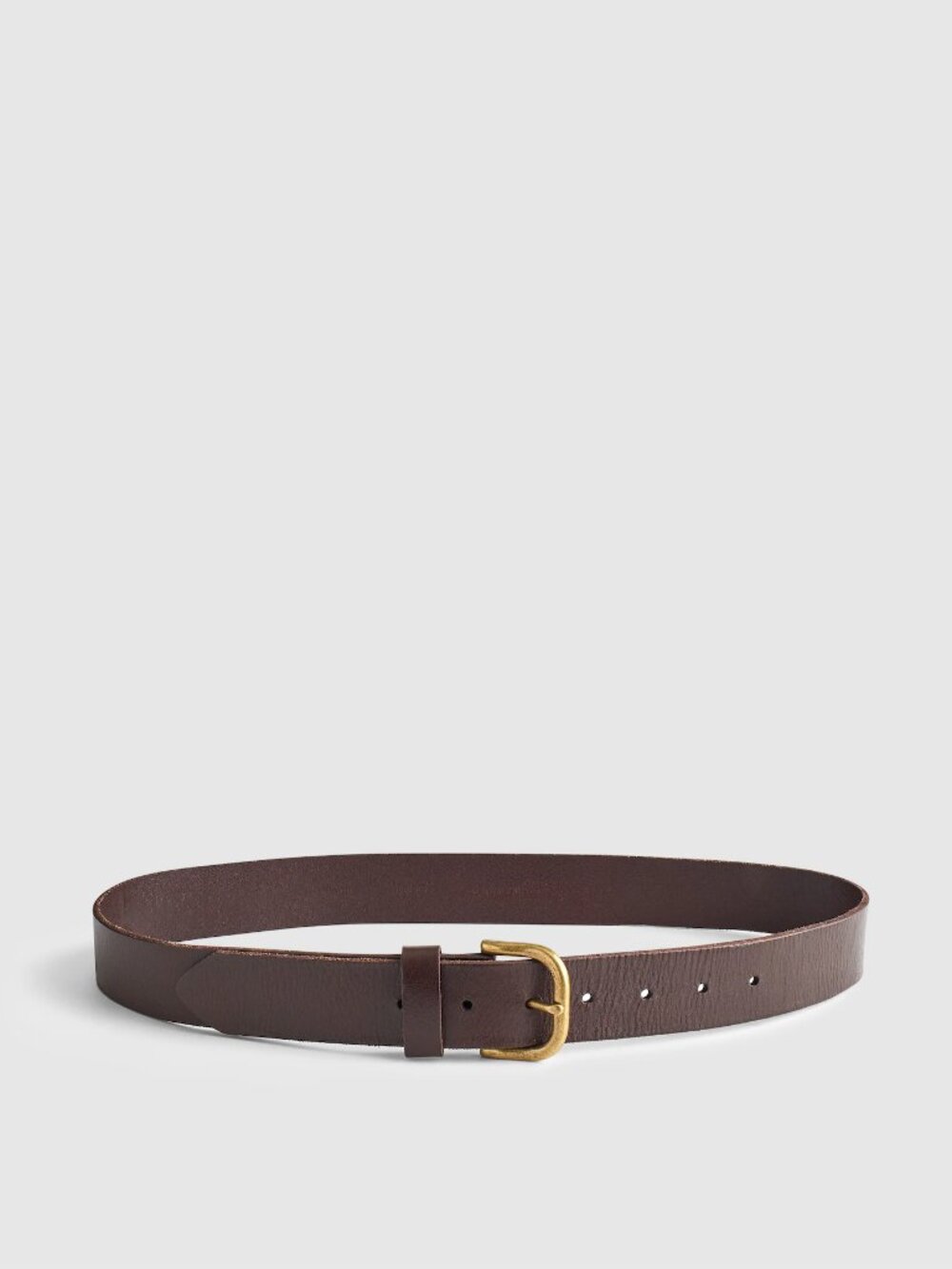 The Everyday Belt - Coffee Bean - Size S